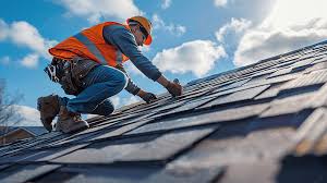 Best Roof Maintenance and Cleaning  in Park City, IL